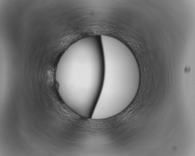 X0000096480768200801241146