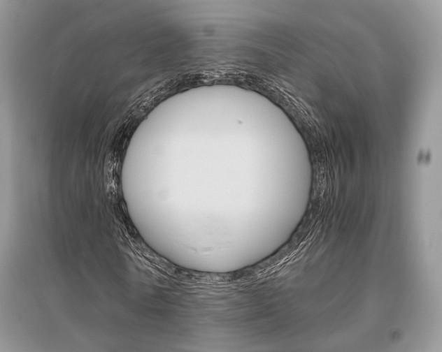 X0000096480770200801241146