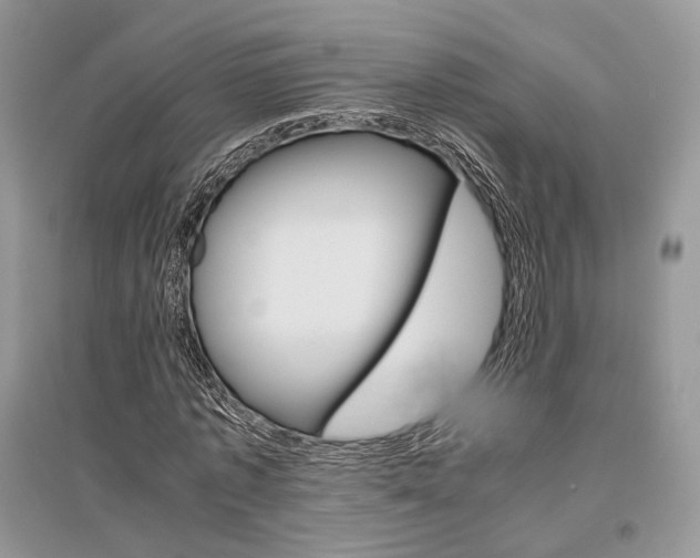 X0000096480773200801241146