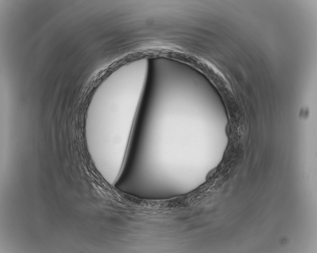 X0000096480775200801241146