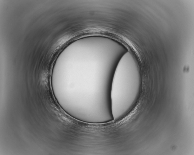X0000096480778200801241146