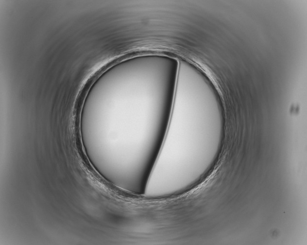 X0000096480779200801241146