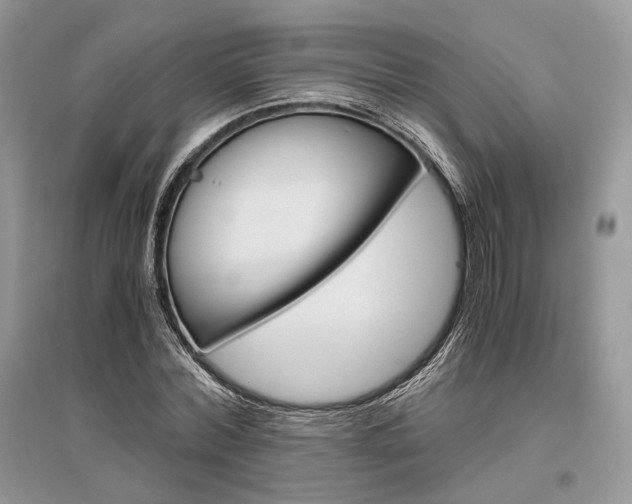 X0000096480780200801241146