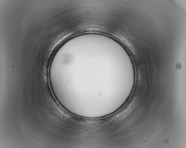 X0000096480782200801241146