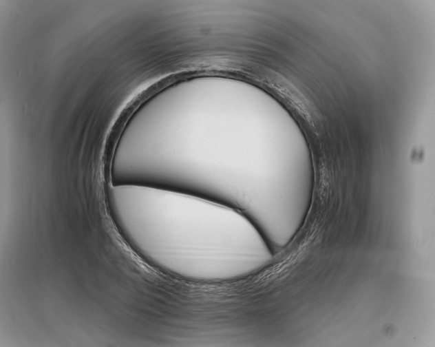 X0000096480784200801241146