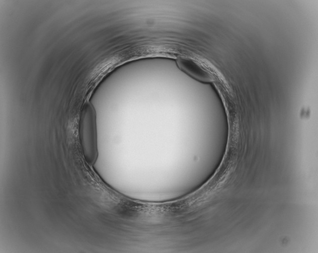X0000096480785200801241146