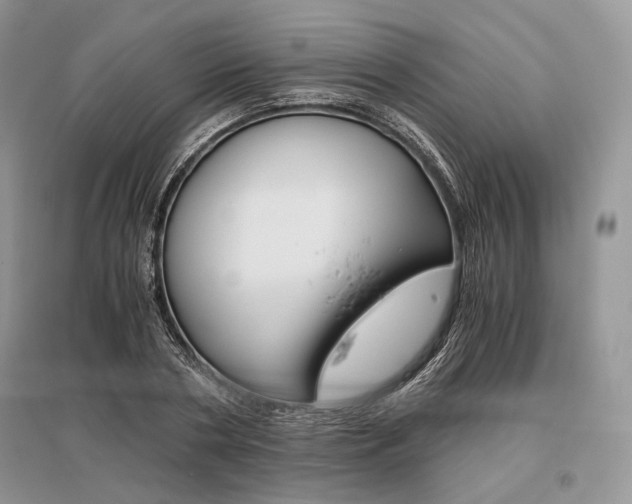 X0000096480786200801241146