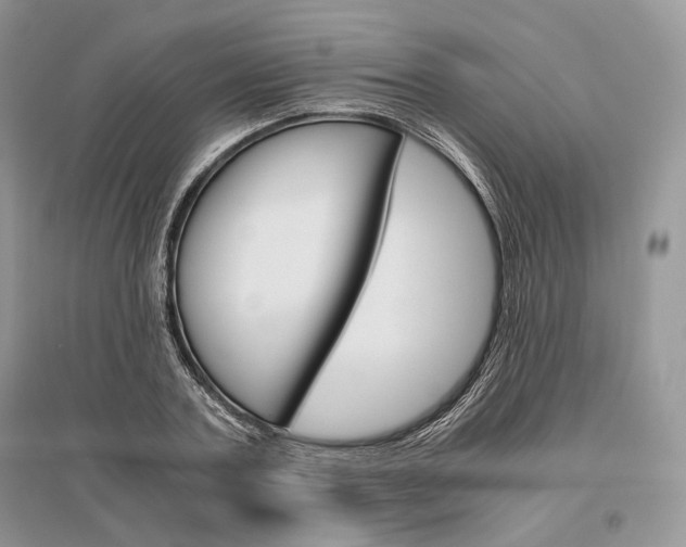 X0000096480787200801241146