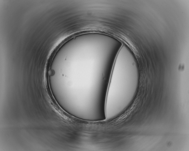 X0000096480788200801241145