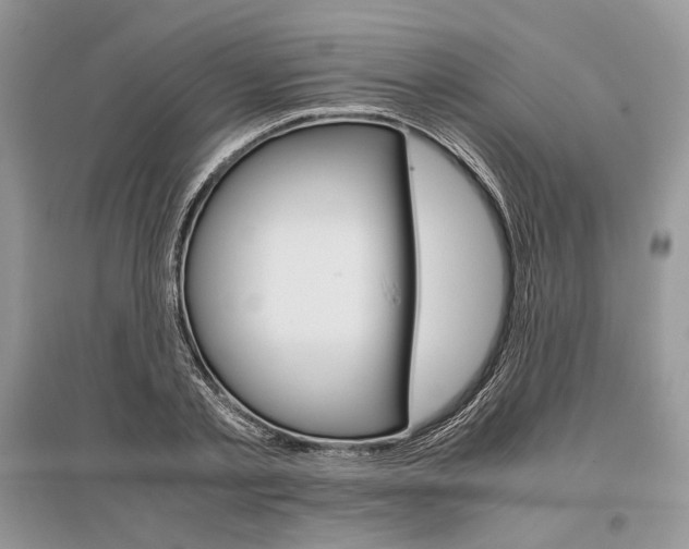 X0000096480789200801241145