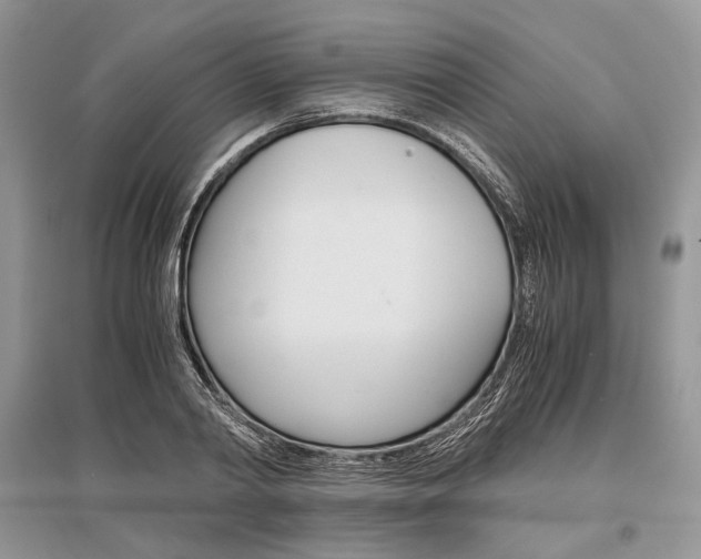 X0000096480790200801241145