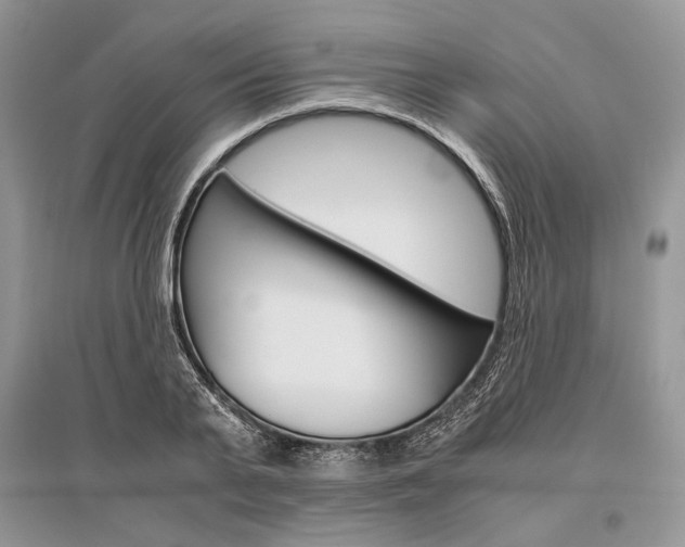 X0000096480791200801241145