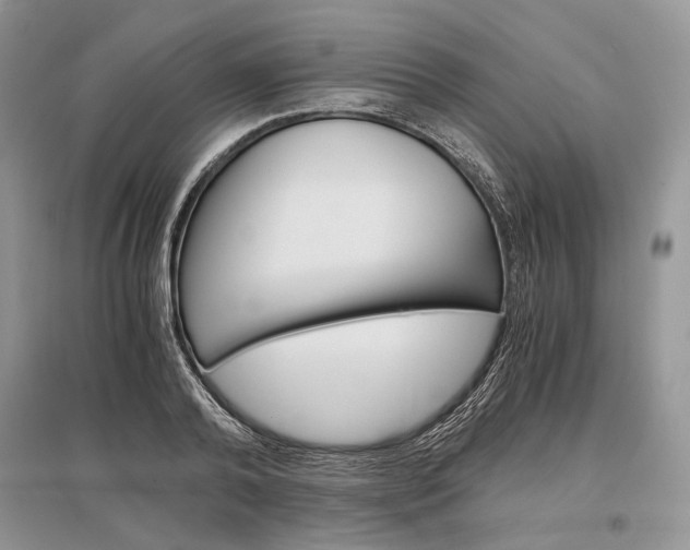 X0000096480792200801241145