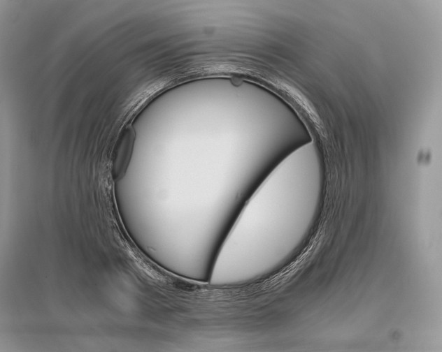 X0000096480793200801241145