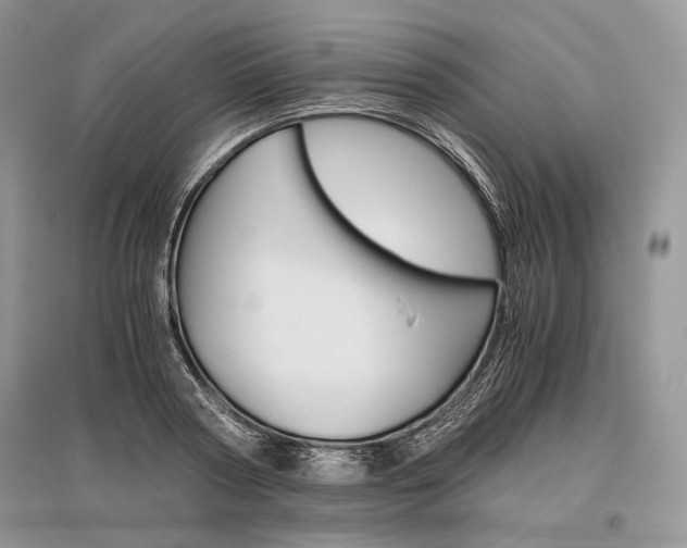 X0000096480794200801241145