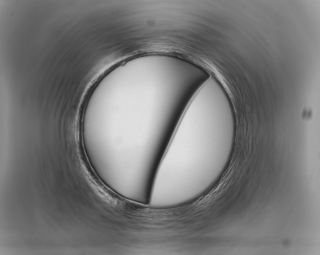 X0000096480795200801241145