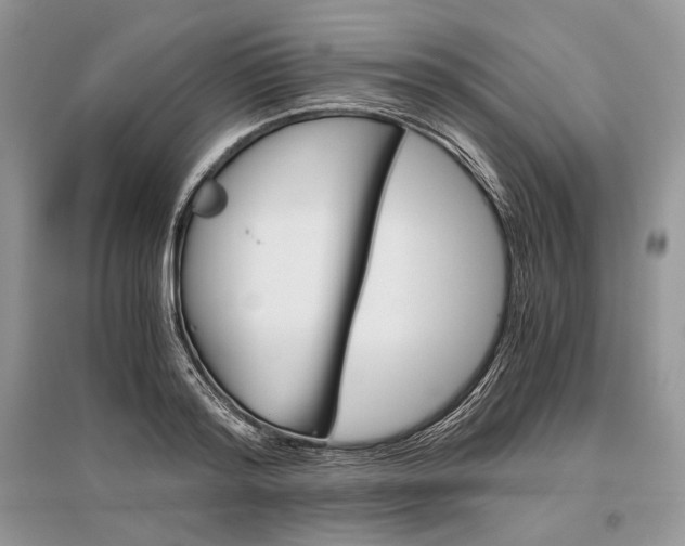 X0000096480796200801241145