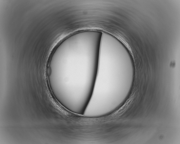 X0000096480797200801241145
