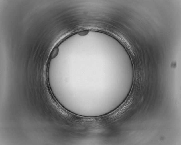X0000096480798200801241145
