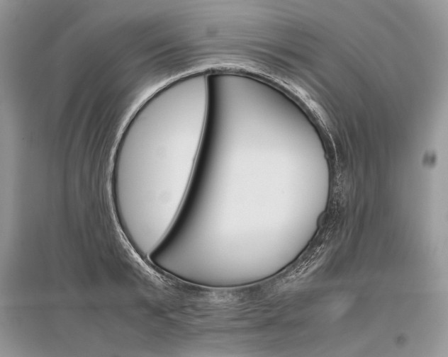 X0000096480799200801241145