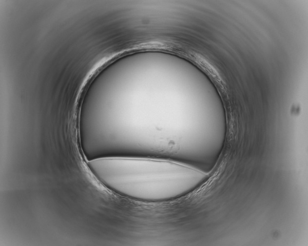 X0000096480800200801241145