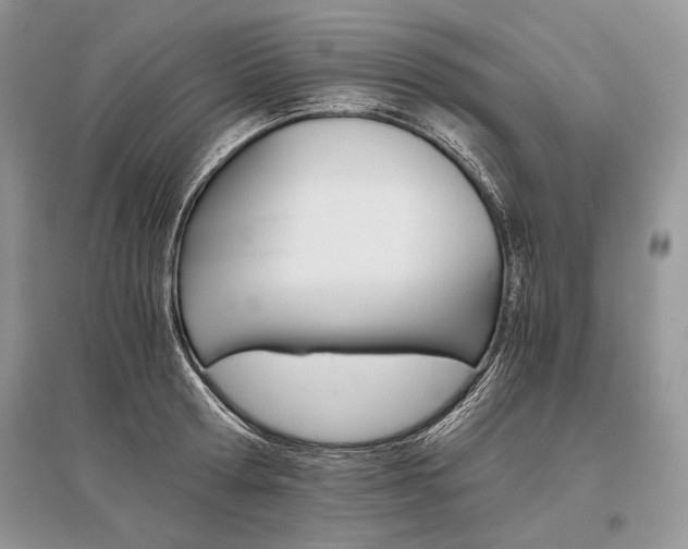 X0000096480802200801241145