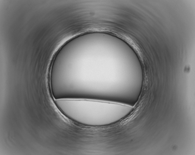 X0000096480803200801241145