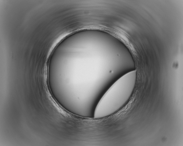 X0000096480804200801241145