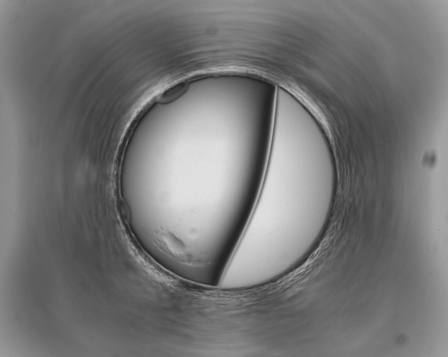 X0000096480805200801241145