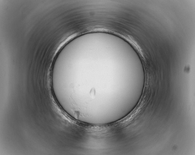 X0000096480806200801241145