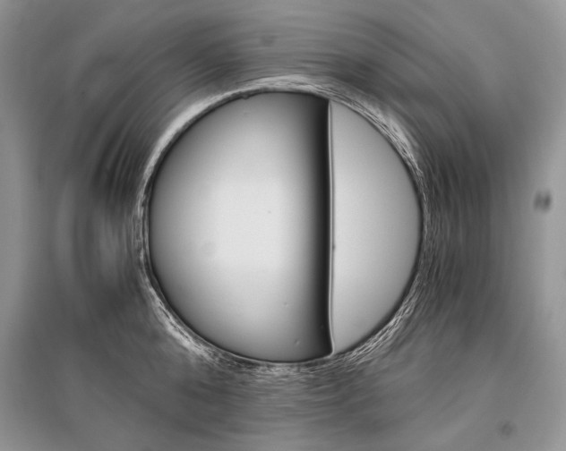 X0000096480808200801241145