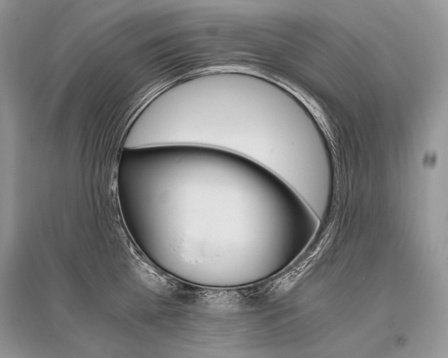 X0000096480809200801241145