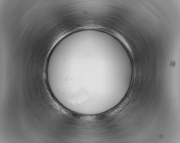 X0000096480810200801241145
