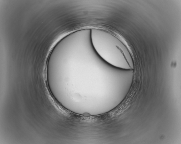 X0000096480811200801241145