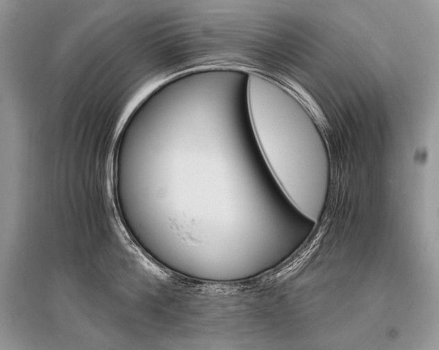 X0000096480812200801241145