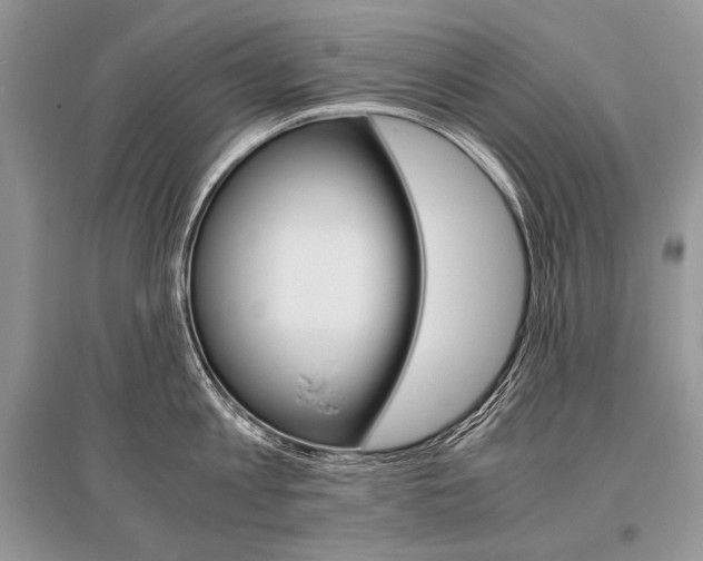 X0000096480813200801241145