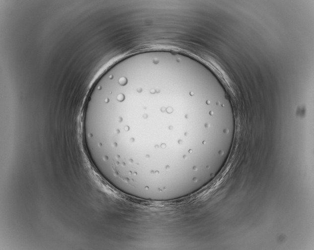 X0000096480814200801241145