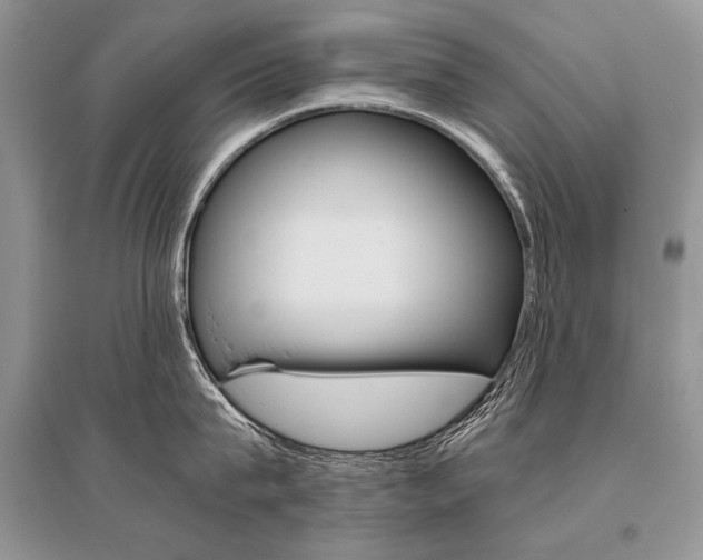 X0000096480815200801241145