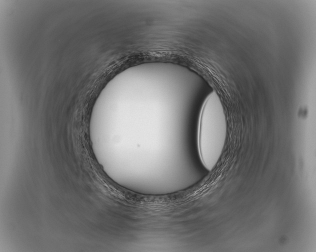 X0000096480817200801241144