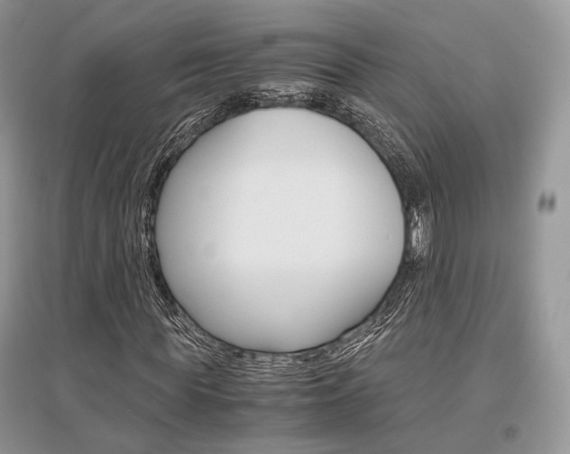 X0000096480819200801241144