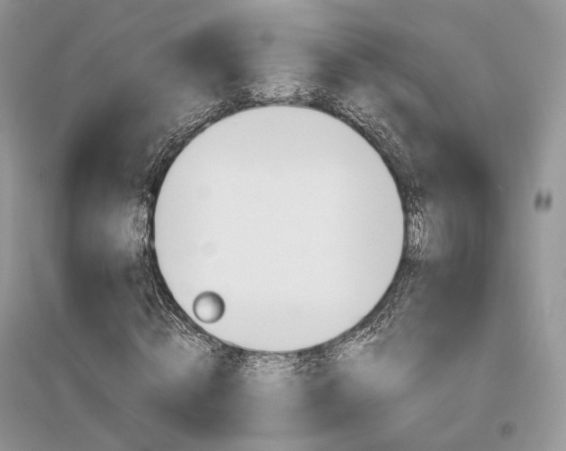 X0000096480820200801241144