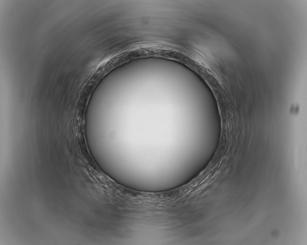 X0000096480822200801241144