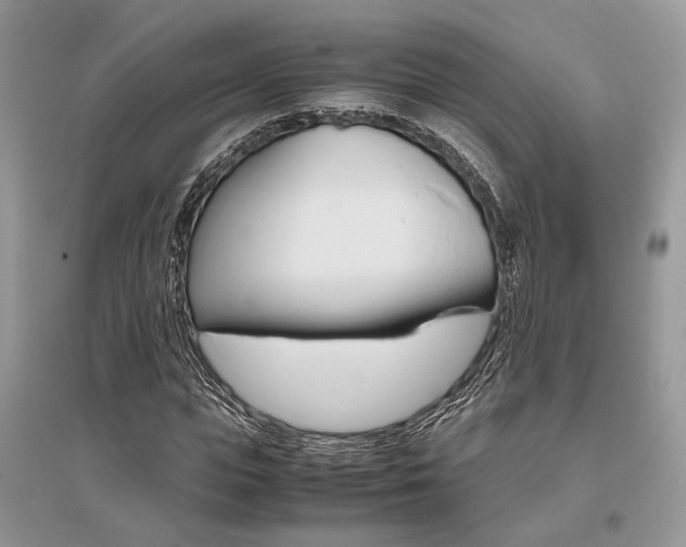 X0000096480823200801241144