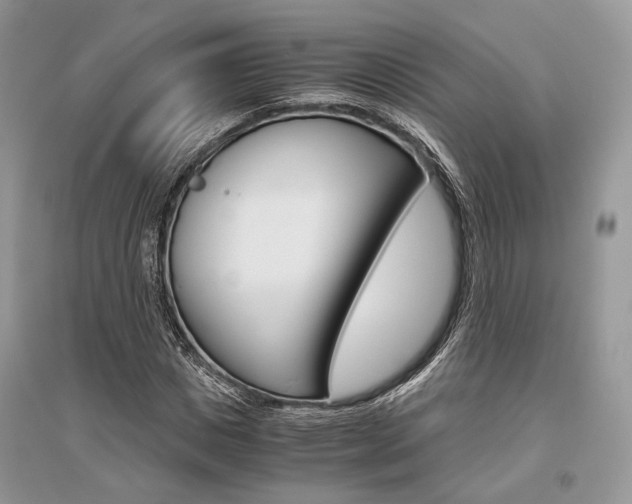 X0000096480825200801241144