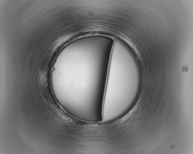 X0000096480826200801241144
