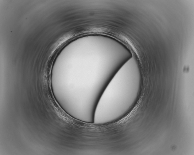X0000096480827200801241144