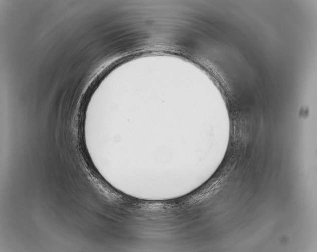 X0000096480828200801241144