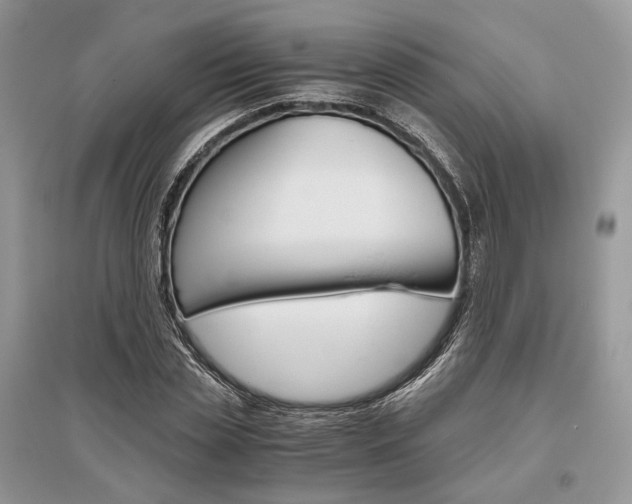 X0000096480829200801241144