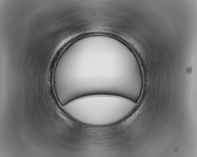 X0000096480830200801241144