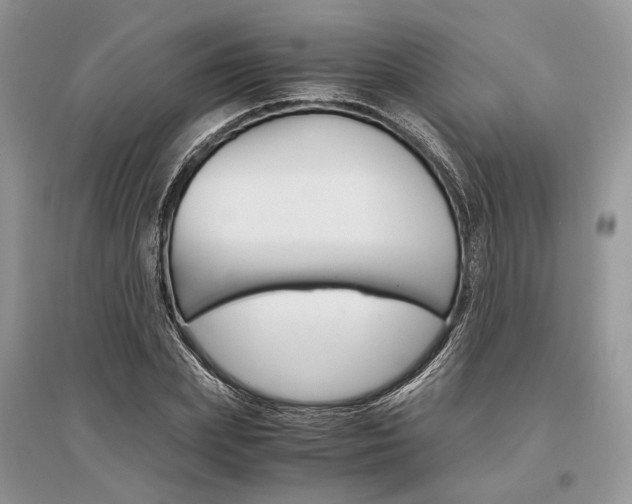 X0000096480831200801241144